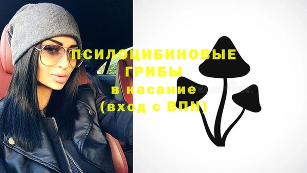 PSILOCYBIN Алексин