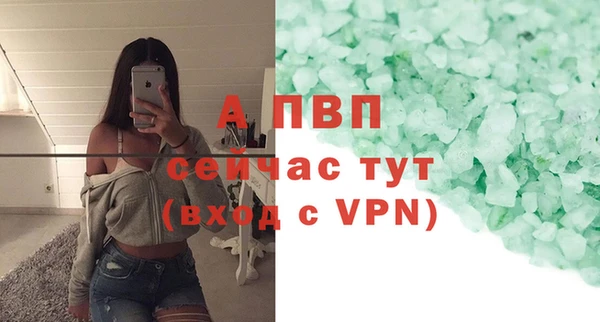 стафф Абаза