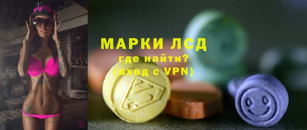 стафф Алзамай