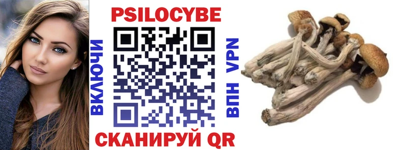 кракен онион сколько стоит Ипатово Псилоцибиновые грибы MAGIC MUSHROOMS